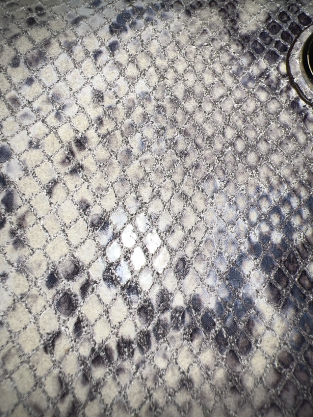 Coach Snake-Print Zip Wallet - Picture 10 of 16
